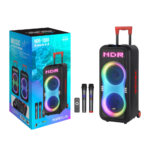 NDR-1508 2X8'' Bluetooth Karaoke Speaker With Microphone