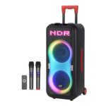 NDR-1508 2X8'' Bluetooth Karaoke Speaker With Microphone - Image 2