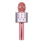 Karaoke Wireless Bluetooth Microphone Speaker - Image 4