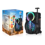 NDR P12 12 inch Bluetooth Party Speaker With Mic