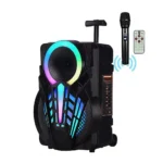 NDR P12 12 inch Bluetooth Party Speaker With Mic - Image 2